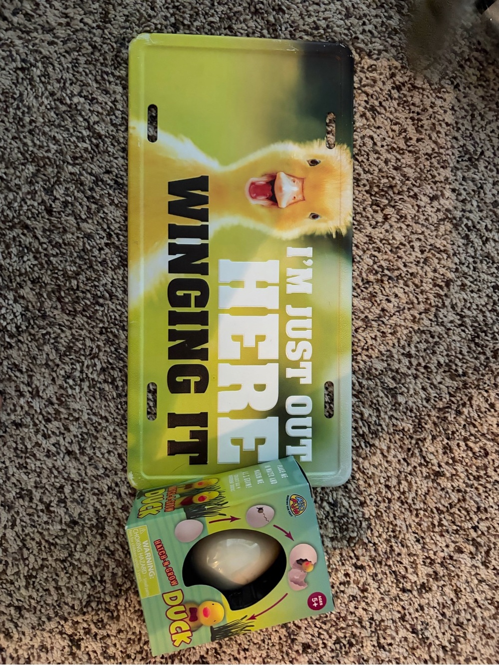 Funny Yellow Duck License Plate - "I'm Just Out Here Wingin' It"